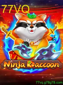 NinjaRaccoon